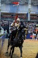 Cavalry - 00212
